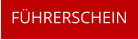 F�HRERSCHEIN